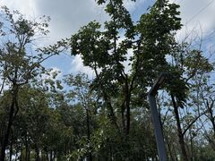 -江苏三台山国家森林公园