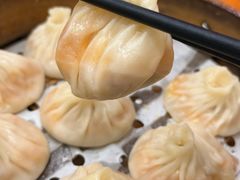 -莱莱小笼·乔艾