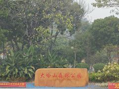 -东莞市大岭山森林公园