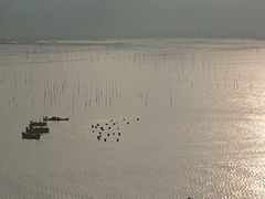 -北岐滩涂