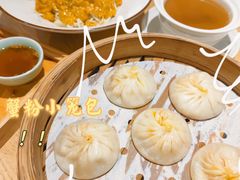 -苏堂阳春面•九年庆(北京路天河城店)
