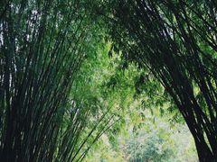 -英西峰林·洞天仙境
