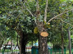 -三亚海棠湾万丽度假酒店