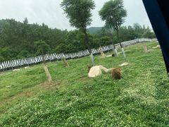 -西安秦岭野生动物园