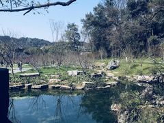 -常德桃花源景区