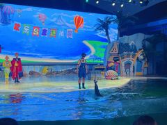 -三亚海昌梦幻海洋不夜城