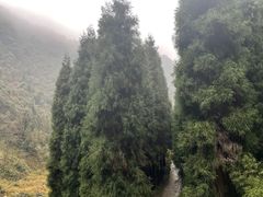 -九峰山