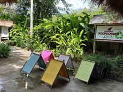 -大象粑粑造纸公园