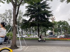 -成都市活水公园