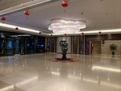 -郑州新郑国际机场T2航站楼-贵宾厅B区