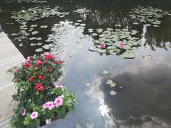 -白马涧龙池景区