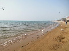 -老虎石海上公园
