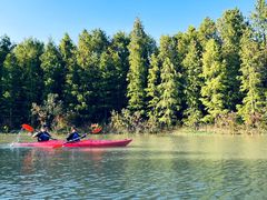 -上海海湾国家森林公园