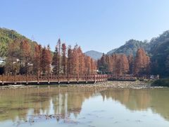 -广州市石门国家森林公园