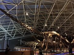 -世界恐龙谷景区