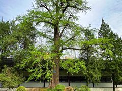 -苏州碑刻博物馆