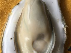 -蚝专家(北滘店)