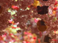 -吉祥圣雪藏餐