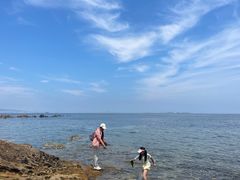 -养马岛旅游度假区
