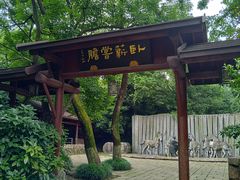 -白马涧龙池景区