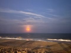 -聚德福海鲜家常菜(刘庄店)