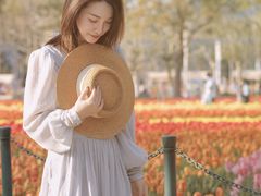 -大宁郁金香公园-停车场