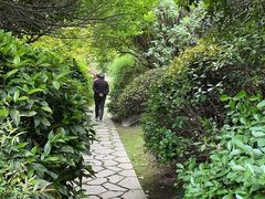 -桃花岛景观公园
