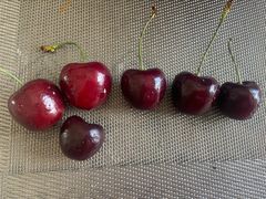 -江杨农产品批发市场