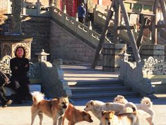 -五台山风景名胜区