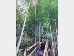 -宁波浙东大竹海景区