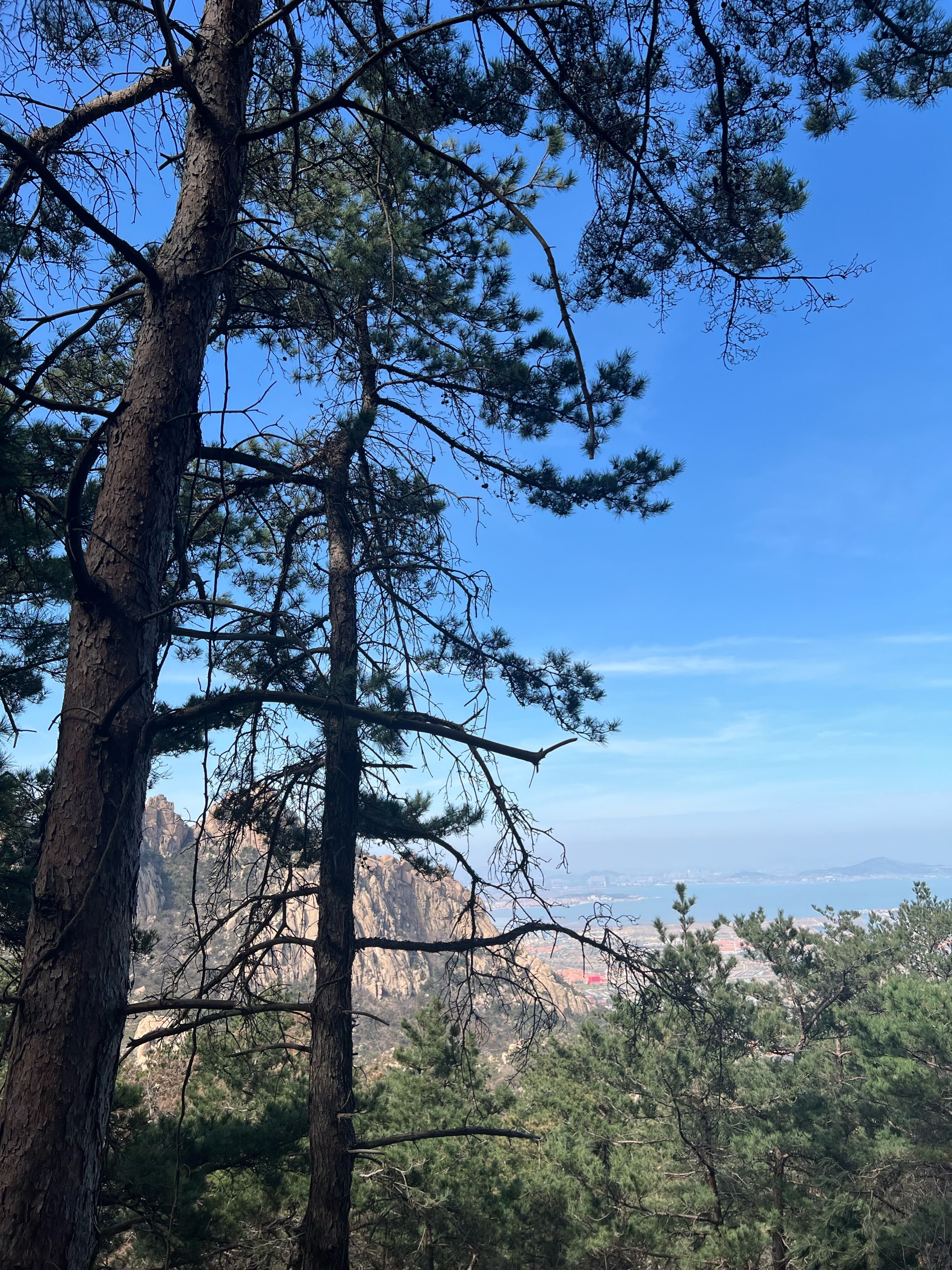 山顶的风景 眺望图片