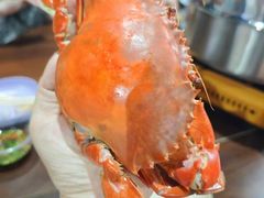 -崖口煲仔饭