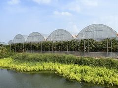 -马陆小张葡萄园农家乐