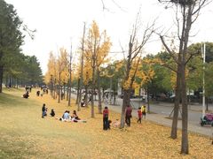 -美兰湖景区