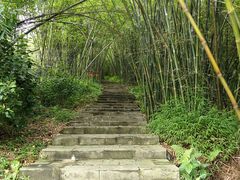 -羚羊峡古栈道森林公园