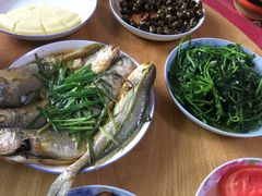 -南汇老顾农家乐采摘大团水蜜桃采摘店