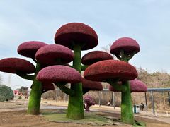 -沈阳植物园