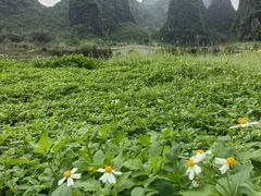 -钟山水墨田园