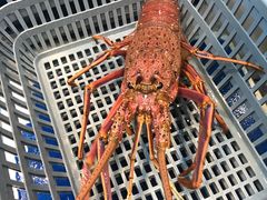 -海港酒家(翔龙湾广场店)