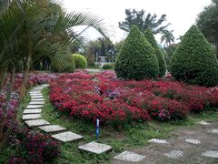 -广东花都香草世界旅游度假区