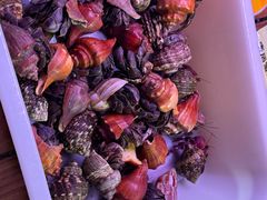 -中环花鸟鱼虫市场