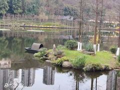 -重庆彩云湖湿地公园