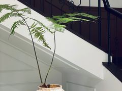 -醉西楼·国风茶社