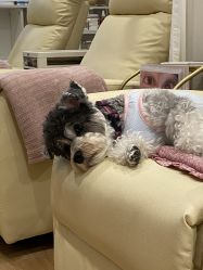 -Adore nail日式美甲美睫