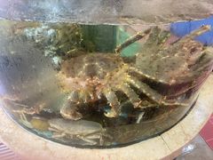 -桃园盛宴·岭南粤菜·手工茶点(南庄店)