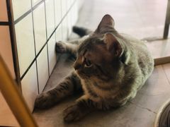-有何Book(六堰体育馆店)