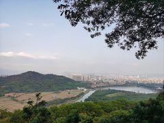 -风云岭森林公园