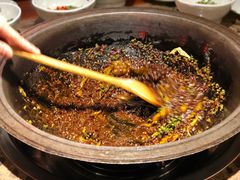 -匠岳·王宝器麻椒鱼(都江堰店)