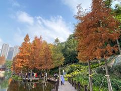 -重庆彩云湖湿地公园