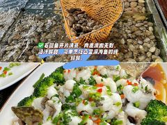 -小海豚•老字号海鲜餐厅(天涯店)